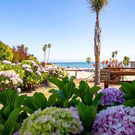 Edgewater Beach Inn Santa Cruz Buitenkant foto