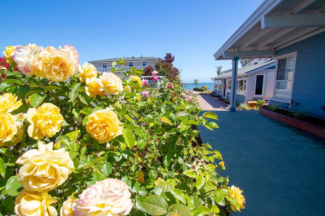 Edgewater Beach Inn Santa Cruz Buitenkant foto